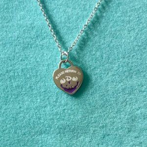 Inspired theme park villain collection purple enamel sterling necklace